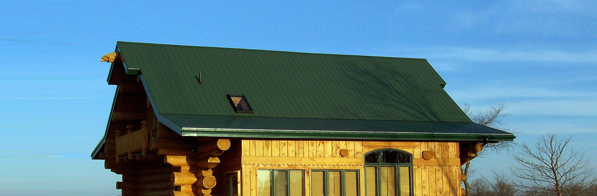 Log cabin with green roof