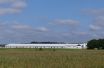 small_233_P1010905.jpg